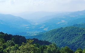 Langhe Paradisot